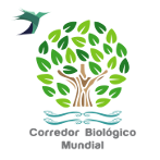 Corredor Biológico Mundial Corredor Biológico Mundial